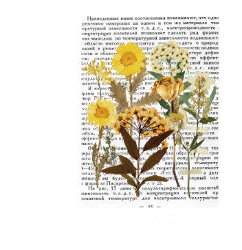 Vintage Plant & Nature DIY Sticker Set – Autumn Leaf Butterfly