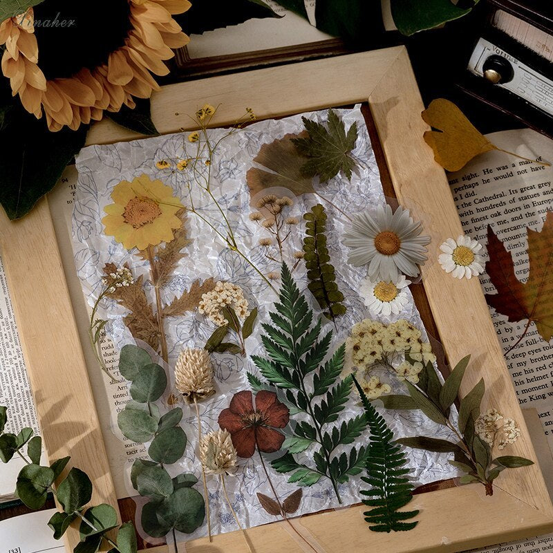 Vintage Plant & Nature DIY Sticker Set – Daisy diy art kits