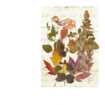 Vintage Plant & Nature DIY Sticker Set – Eucalyptus