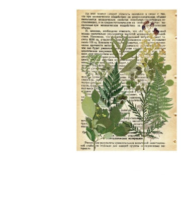 Vintage Plant & Nature DIY Sticker Set – Platycodon grandiflora