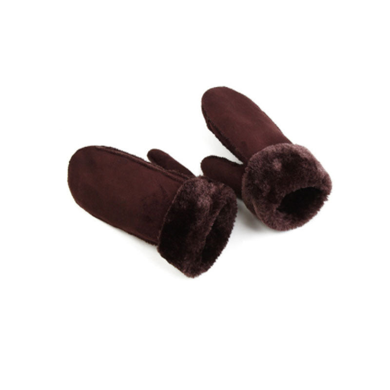 Pair of brown gloves on a white background