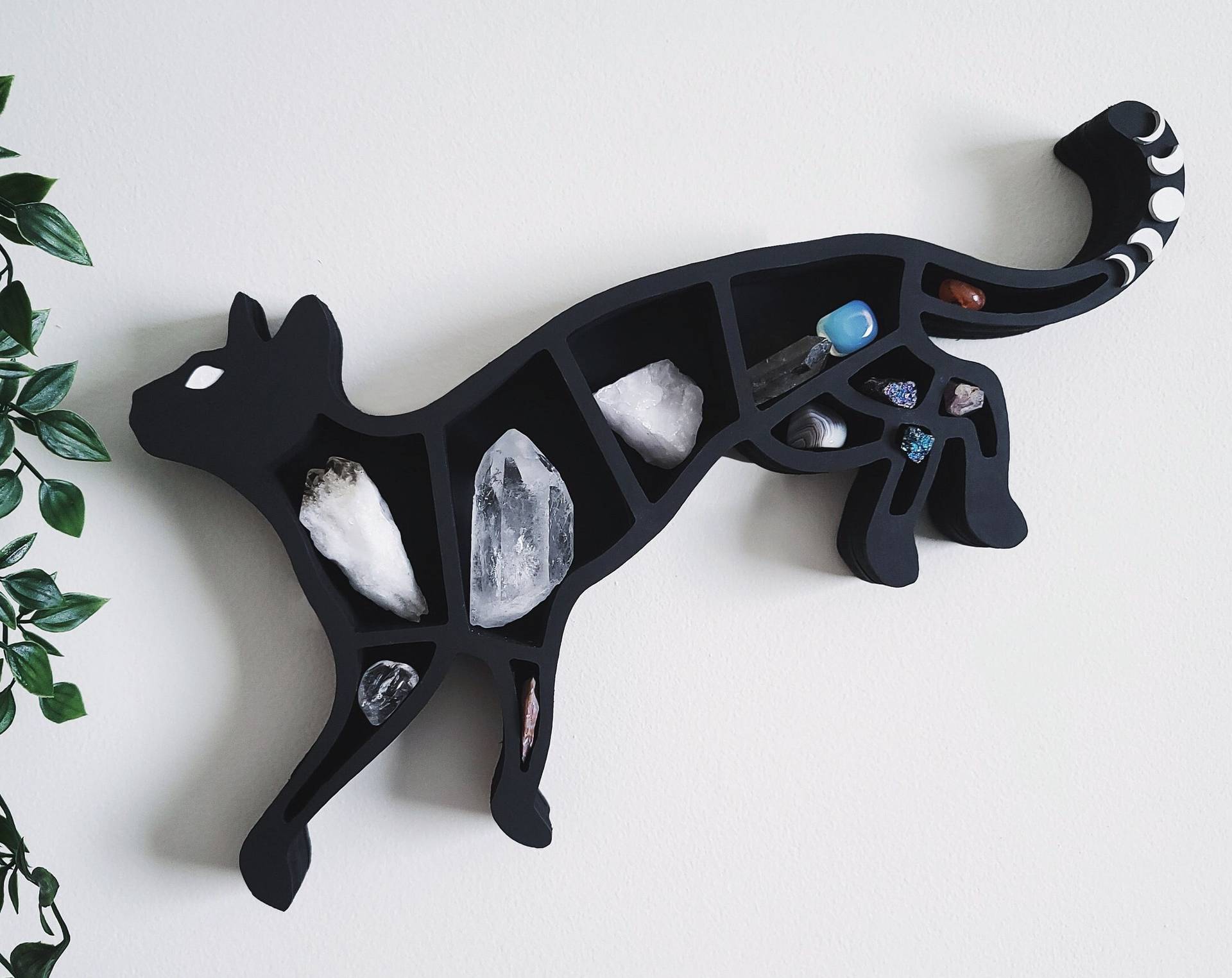 Mystic Wall Shelves – Snake & Cat Designs